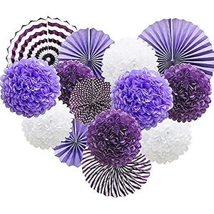 decor nation hanging party decorations set tissue paper fan paper pom poms flowers for wedding birthday bachelorette graduation party kit design-2purple white pack of 14
