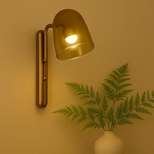 the decor modern led wall light with cylindrical glass shade