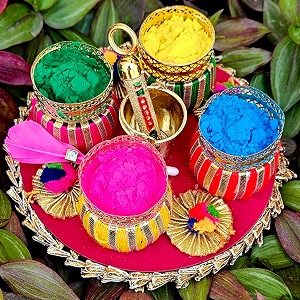 holi herbal color powder herbal gulal holi gift hamper  organic gulal  holi decorations  holi tilak thali holi pichkari holi platter holi tilak thali