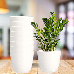 Decorexperts 5 inch round white cool flower