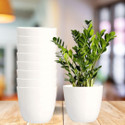 Decorexperts 5 inch round white cool flower