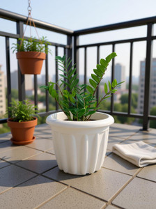 decorway flower pots with tray for home  decoration plantersterracegarden etc plant container set