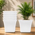 Decorzone 6 Premium Square Pots flower pots