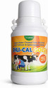 Deeligent Biotech DILICAL Gold Calcium Supplement 