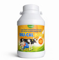 Deeligent Biotech DILICAL Gold Calcium Supplement 