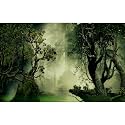 Deep Forest Aquarium Background Tranquil Lake Foggy Misty Rainforest Terrarium Background Tropical Jungle Old Trees Fish Tank Background Natural Forest Landscape Aquarium Backdrop Poster Vinyl 36x20in
