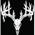 Deer Buck Antlers Skull Hunting Car Truck Window Bumper Vinyl Graphic Decal Sticker- (6 inch) / (15 cm) Tall GLOSS BLACK Color