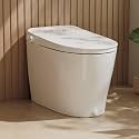 DeerValley Non-electric Smart Toilet Bidet, No Outlet or Rewiring Needed