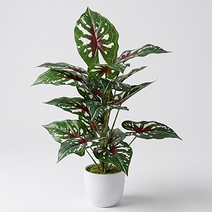 Dekorly Artificial Caladium Plant Tree with White