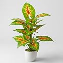 Dekorly Artificial Caladium Plant Tree with White