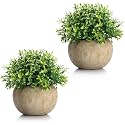 Dekorly Premium Artificial Baby’s Breath Floral Arrangement with White Vase &amp; Aesthetic Sticker | Stylish Home &amp; Office Accent (28CM) (1, Baby Breath)