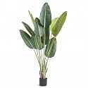 Dekorly Fake Plants Artificial Floor Plants Large
