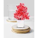 Dekorly Mini Artificial Plant with Pot for Diwali Decor: Festive Home Decor Items, Perfect for Diwali Celebration, Small Plant for Tabletop, Living Room Decor, and Office Spaces (Design-AJ)