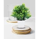 Dekorly Mini Artificial Plant with Pot for Diwali Decor: Festive Home Decor Items, Perfect for Diwali Celebration, Small Plant for Tabletop, Living Room Decor, and Office Spaces (Design-P)