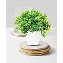 Dekorly Mini Artificial Plant with Pot for Diwali Decor: Festive Home Decor Items, Perfect for Diwali Celebration, Small Plant for Tabletop, Living Room Decor, and Office Spaces (Design-AA)