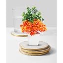 Dekorly Mini Artificial Plant with Pot for Diwali Decor: Festive Home Decor Items, Perfect for Diwali Celebration, Small Plant for Tabletop, Living Room Decor, and Office Spaces (Design-Z)