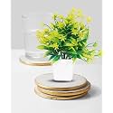 Dekorly Mini Artificial Plant with Pot for Diwali Decor: Festive Home Decor Items, Perfect for Diwali Celebration, Small Plant for Tabletop, Living Room Decor, and Office Spaces (Design-J)