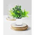 Dekorly Mini Artificial Plant with Pot for Diwali Decor: Festive Home Decor Items, Perfect for Diwali Celebration, Small Plant for Tabletop, Living Room Decor, and Office Spaces (Design-Y)