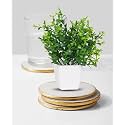 Dekorly Mini Artificial Plant with Pot for Diwali Decor: Festive Home Decor Items, Perfect for Diwali Celebration, Small Plant for Tabletop, Living Room Decor, and Office Spaces (Design-F)