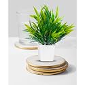 Dekorly Mini Artificial Plant with Pot for Diwali Decor: Festive Home Decor Items, Perfect for Diwali Celebration, Small Plant for Tabletop, Living Room Decor, and Office Spaces (Design-E)