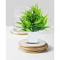 Dekorly Mini Artificial Plant with Pot for Diwali Decor: Festive Home Decor Items, Perfect for Diwali Celebration, Small Plant for Tabletop, Living Room Decor, and Office Spaces (Design-D)
