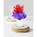 Dekorly Mini Artificial Plant with Pot for Diwali Decor: Festive Home Decor Items, Perfect for Diwali Celebration, Small Plant for Tabletop, Living Room Decor, and Office Spaces (Design-T)
