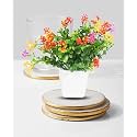 Dekorly Mini Artificial Plant with Pot for Diwali Decor: Festive Home Decor Items, Perfect for Diwali Celebration, Small Plant for Tabletop, Living Room Decor, and Office Spaces (Design-M)