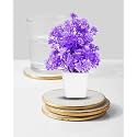 Dekorly Mini Artificial Plant with Pot for Diwali Decor: Festive Home Decor Items, Perfect for Diwali Celebration, Small Plant for Tabletop, Living Room Decor, and Office Spaces (Design-AG)