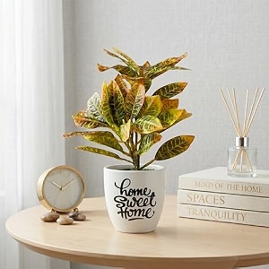 dekorly premium artificial croton plant with white pot amp aesthetic sticker  stylish home amp office accent 28cm 1 croton plant
