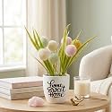 Dekorly Premium Artificial Multi Colour Pingpong Flower Floral Arrangement with White Vase &amp; Aesthetic Sticker | Stylish Home &amp; Office Accent (28CM) (1, Pingpong Flower)