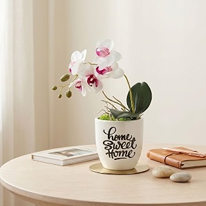 dekorly premium artificial white orchid floral arrangement with white vase amp aesthetic sticker  stylish home amp office accent 28cm 1orchid