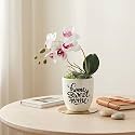 Dekorly Premium Artificial White Orchid Floral Arrangement with White Vase &amp; Aesthetic Sticker | Stylish Home &amp; Office Accent (28CM) (1,Orchid)