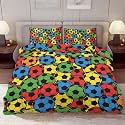 Delerain Comforter Cover Set Queen Size, Rainbow Soccer Ball Sport 3-Piece Bedding Set for Women Men Modern Soft Microfiber Bedroom Set Room Decor, 1 Duvet Cover + 2 Pillowcases