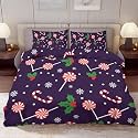 Delerain Comforter Cover Set Queen Size, Christmas Candy and Holly 3-Piece Bedding Set for Women Men Modern Soft Microfiber Bedroom Set Room Decor, 1 Duvet Cover + 2 Pillowcases