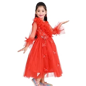 Delicate Pori Ethnic Party Frock for