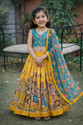 Delima Fab Girls Lehenga Choli Ethnic Wear