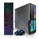 Dell PC Treasure Box RGB Desktop Computer