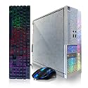 Dell PC Treasure Box RGB Desktop Computer