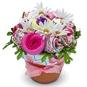 Baby Girl Clothing Flower Bouquet | Newborn Baby Girl Gift Set | Baby Gift Basket for Expecting Moms and Gender Reveals | Creative Unique Pink Baby Gift Set for New Baby Boys | Nikki's Gift Baskets