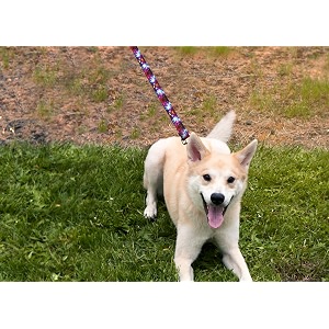 deluxe dog leash - patterned heavy duty pet leashes made in the usa - 34 inches x 4 feet red tartan
