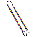 Deluxe Dog Leash - Patterned Heavy Duty Pet Leashes, Made in The USA ââ‚¬â€œ 1 Inch x 4 Feet, Rainbow Stripe