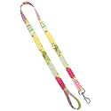 Deluxe Dog Leash - Patterned Heavy Duty Pet Leashes, Made in The USA - 1 Inch x 6 Feet, Girly Picnic
