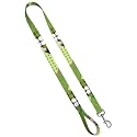 Deluxe Dog Leash - Patterned Heavy Duty Pet Leashes, 1 Inch x 6 Feet, Green Girl