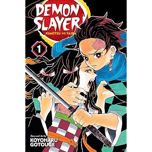 demon slayer kimetsu no yaiba vol 1 the world famous manga series