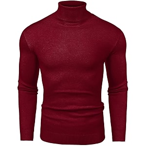 DENIMHOLIC Cotton Turltle Neck Sweater for Man