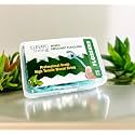 Dental floss picks with waxed and mint flavoured string, professional grade toothpicks for teeth cleaning: ELEVATEliving teeth flossers