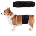 DENTRUN Male Dog Wrap, Adjustable Belly Band Leak-Proof &amp; Lick Prevention