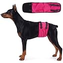 DENTRUN Male Dog Wrap, Adjustable Belly Band Leak-Proof & Lick Prevention