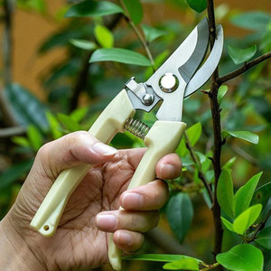 deodap garden pruning shears cutter for home garden  flower branch sharp cutter  cutter for home garden  flower branch sharp cutter  garden pruning shears bypass pruner manual