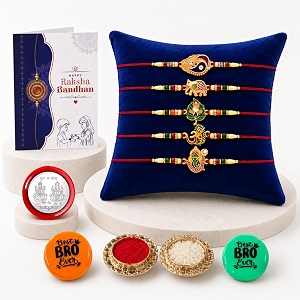 deodap rakhi with fridge magnet for brother  multicolor sylish design rakhi 5 pcs with fridge magnet 2 pc silver color pooja coin greeting card amp tilak set  traditional raksha bandhan combo for bhai